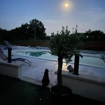 Piscine Chauffee Et Jacuzzi Sarlat En Perigord *